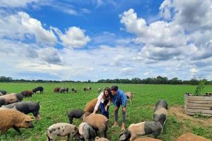 12 dôvodov na návštevu Moravského poľa