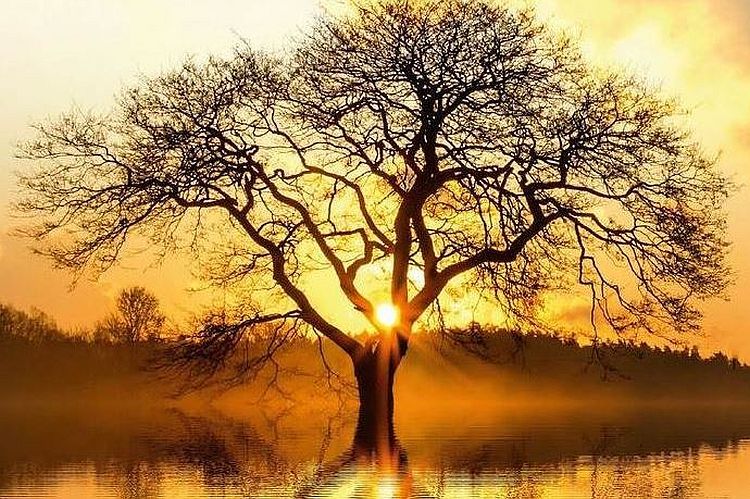 Jedz, aby si žil! Nevzdávaj sa! O chorobách srdca a mozgu