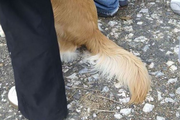 Trochu humoru nikoho nezabije