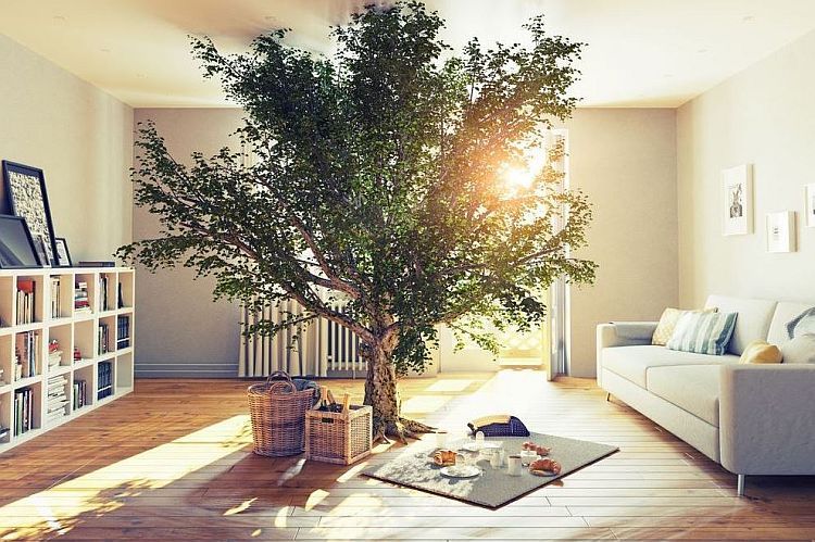 Pre útulný interiér, štýlový a zdravý zároveň