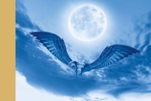 Úvod do interpretácie snov