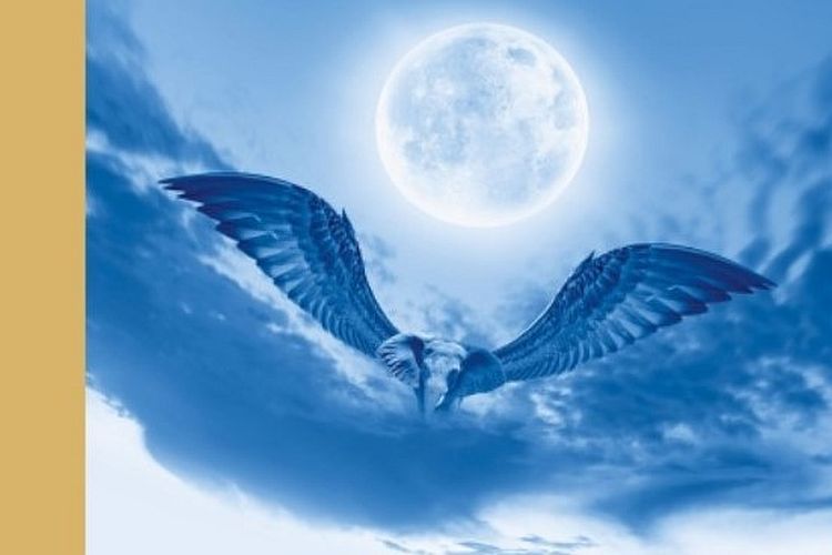 Úvod do interpretácie snov