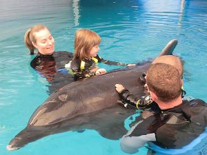 Liečenie (s) delfínmi