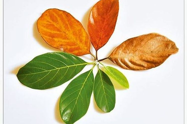 Láskavé meditácie o starnutí