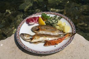 Jedálny lístok. Jelovnik.