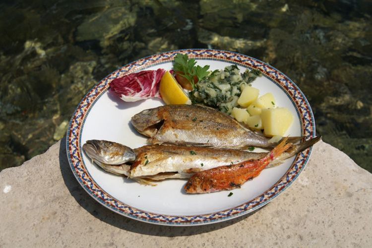 Jedálny lístok. Jelovnik.