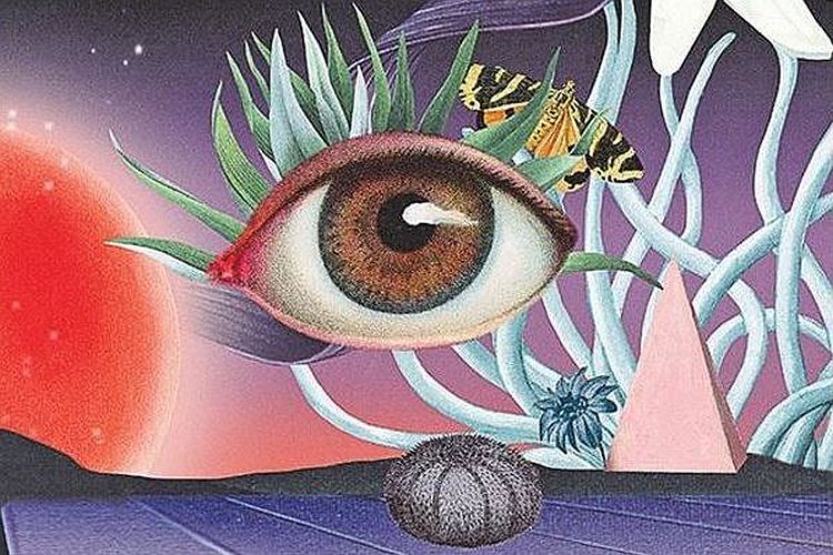 Sny sú odkazy, ktoré posielame sami sebe. Nezahadzujme ich