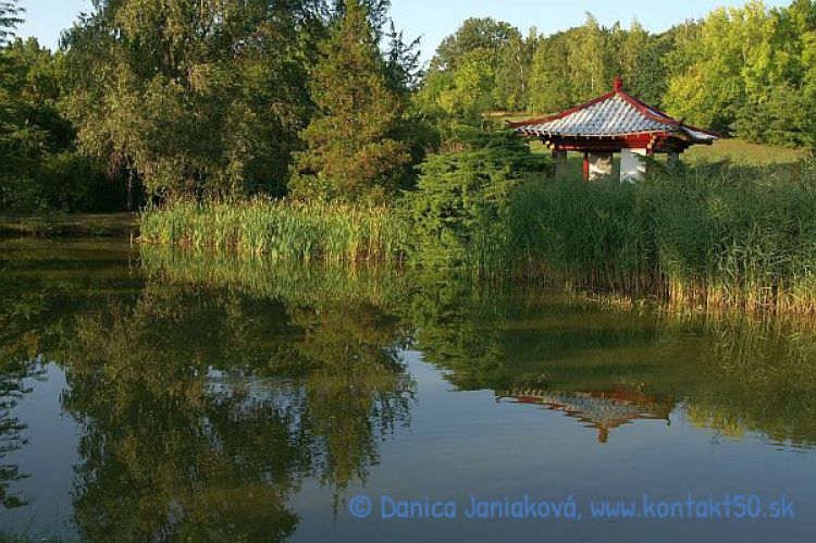 5x Arborétum Mlyňany